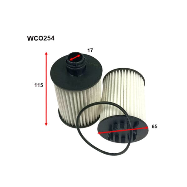 Two cylindrical filters with outer ribbing, each with dimensions labeled: height 115 mm, width 65 mm. One filter is upright, the other tilted. A rubber ring is in the foreground. Model: WCO254.