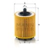 HU6007x OIL FILTER (Interchangeable with R2602P, 24460713, EO6507) | HOLDEN ASTRA, CAPTIVA