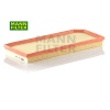 C41110 AIR FILTER
