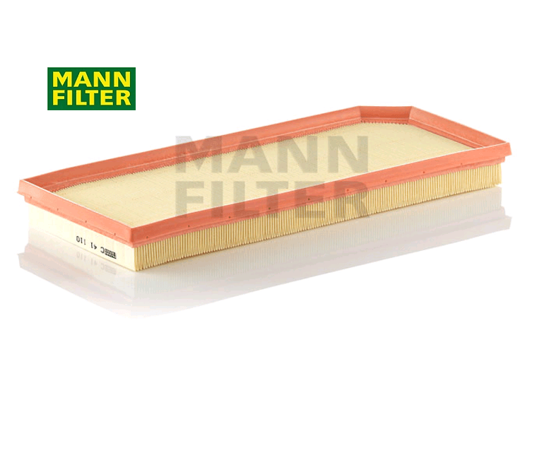 C41110 AIR FILTER