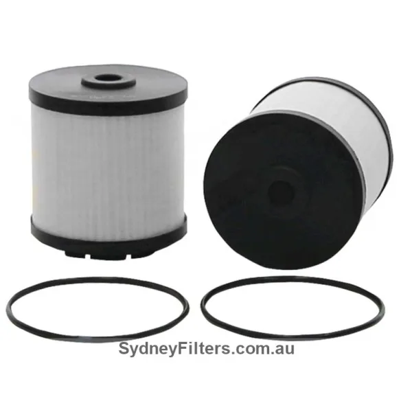 EF65021-S FUEL FILTER JEEP/HOLDEN (2-piece set) [WCF195, WCF203, interchangeable with R2745P, PU7006, 04726067AA, K04726067AA, 95174479, 95492920]